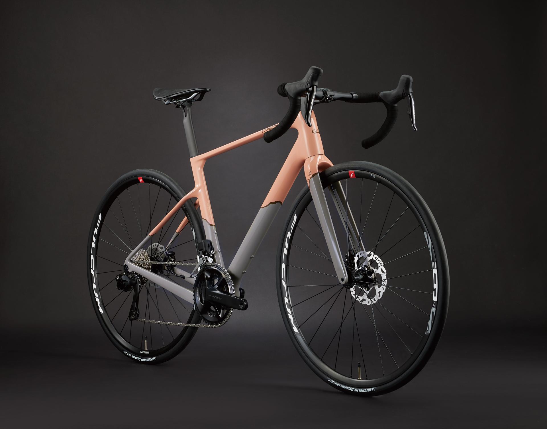 RC 經典公路車-intro-image-6