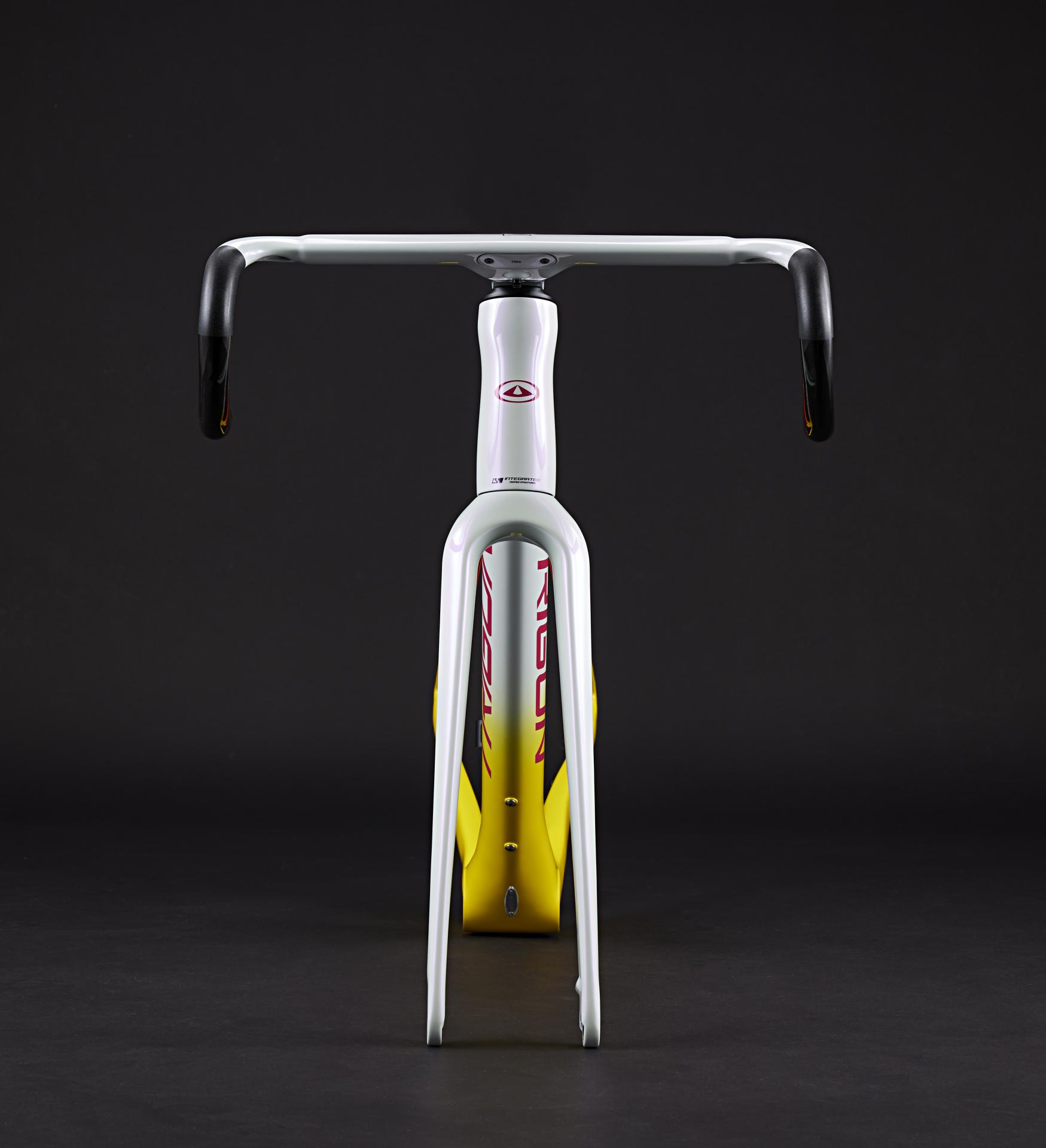 RC 經典公路車系-intro-image-3