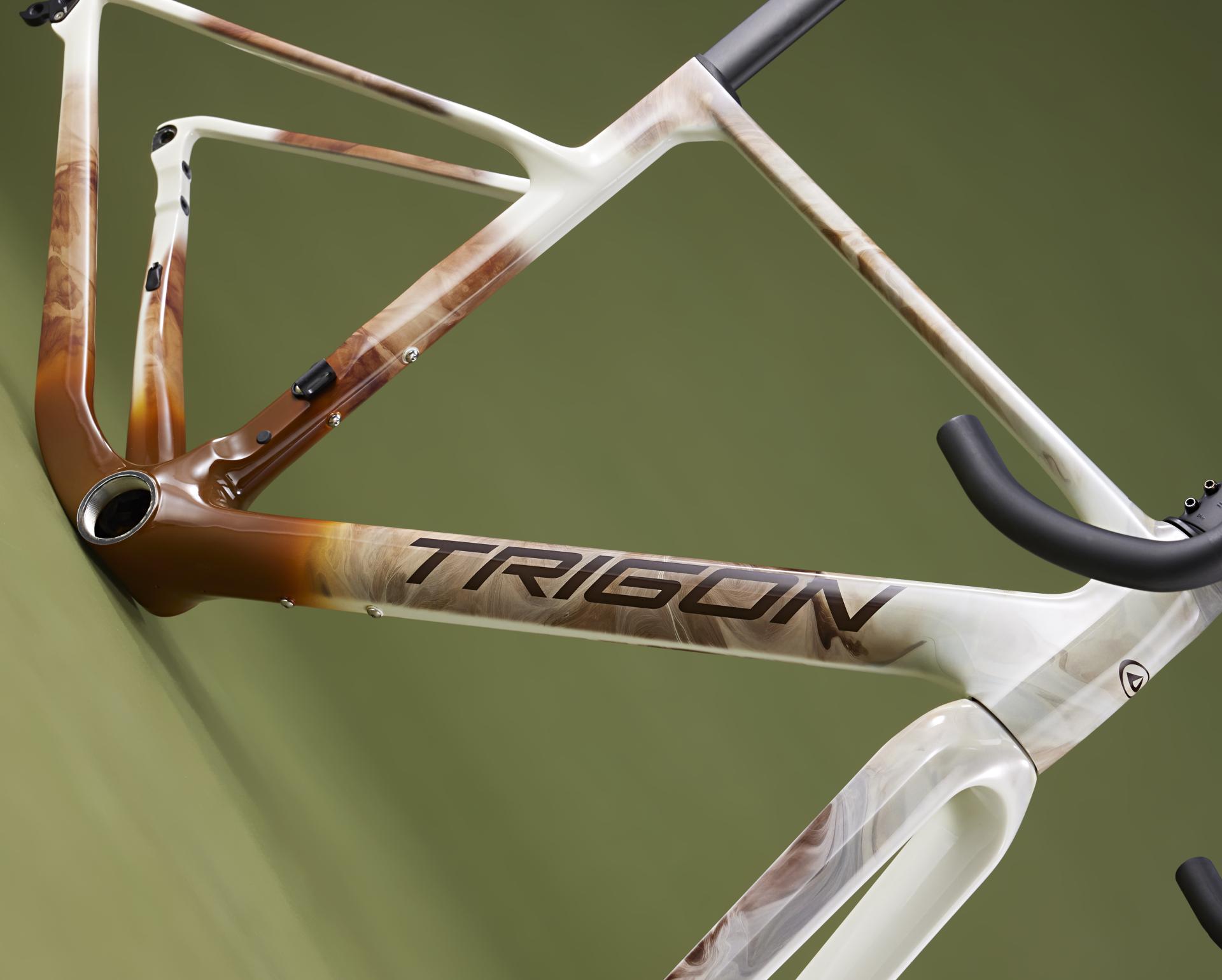 RC 經典公路車-intro-image-5